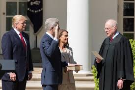 We explore how this phrase connects to mounting a criminal defense case. Trump Boosters Appeals To The Fruit Of The Poisonous Tree Don T Apply Here By Trey Harris Medium