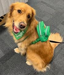 This is Holly. Holly is special.