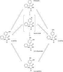 Manga that mans epilepsy is always updated at manhwaland. Phenytoin An Anti Seizure Drug Overview Of Its Chemistry Pharmacology And Toxicology Sciencedirect
