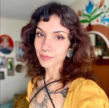 Author disabled comments due to fear of criticism