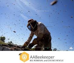 Maybe you would like to learn more about one of these? San Diego Beekeeper Bee Removal San Diego Riverside Orange County Safe Eco Friendly Live Bee Hive Removal Aa Beekeeper Free Inspections Same Day Service
