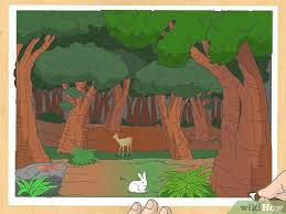 An overview of the need for proper tree selection in north american city forests. 3 Ways To Draw A Forest Wikihow