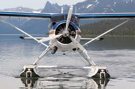 Set an expiry date for your welcome bar, including settings a timezone display your floating notification bar on specific pages new: De Havilland Beaver Floats Mods Services Wipaire Inc