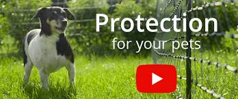 To help you find the perfect electric dog fence, we continuously put forth the effort to update and expand our list of recommendable electric dog fences. Dog Fence Professional Electric Invisible Fences