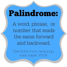 Palindrome Thinking Mathematically