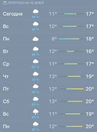 Ну вот и дождались. В Петербурге началось то самое «аномально жаркое» лето.  | Blog Fiesta