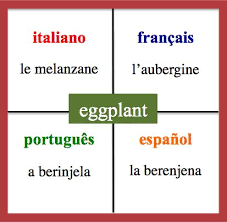 Add eggplant to one of your lists below, or create a new one. Eggplant Daily Vocabulary Word In French Spanish Italian And Portuguese Learn Portuguese Daily Vocabulary Words World Language Classroom