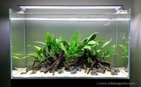 Urban Aquaria 64 Litre Hidden Paths Tank In 2020 Fish Tank Plants Aquascape Aquarium Sand