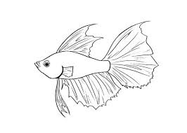 Betta Fish Coloring Pages 259 Free Printable Coloring Pages Under The Sea Art Camp Easy Fish Drawing Fish Coloring Page Watercolor Fish