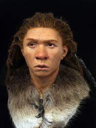 The neanderthals were shorter than modern europeans. Faces Re Created Of Ancient Europeans Including Neanderthal Woman And Cro Magnon Man Live Science