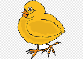Gambar ayam goreng kartun gambar v. Daging Ayam Sayap Kerbau Anak Ayam Yang Cantik Makanan Hewan Png Pngegg