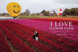 I Love Flower Farm Posts Facebook