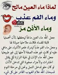 قيلولة حيلولة عيلولة هل هذا صحيح Islam Facts Islamic Phrases Beautiful Arabic Words