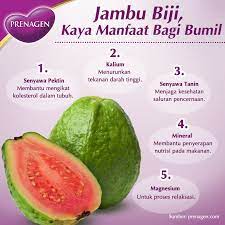 Jika perlu, berkonsultasilah dengan dokter gigi untuk mengetahui apa saja yang perlu dan tidak perlu dilakukan. Prenagen World Tak Diragukan Lagi Jambu Biji Memiliki Banyak Manfaat Tak Terkecuali Untuk Ibu Hamil Apa Saja Yang Bisa Ibu Dapatkan Dari Mengonsumsi Jambu Biji Simak Infonya Di Bawah Ini Agar