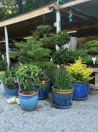 They offer the advantage of providing additional storage for the kitchen without taking up any floor space, while also being at a comfortable height for you to simply reach out and grab the items you need. Bruno Landscape And Nursery Plants Seasonal Gifts Decor