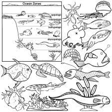 By best coloring pagesjuly 10th 2013. Ocean Zones And Creatures Clip Art Set Oceanography By The Painted Crow