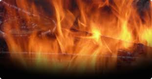 Image result for tbn:mQ4gFlRz1-E7iM::img2.flog.pravda.sk/7ij/ppe_22462_m.jpg