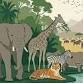 Phoenix Zoo Live on Location presents: Animal Kingdom