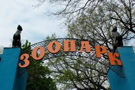 23 августа 2021 года в честь дня города откроют харьковский зоопарк, который реконструировали на протяжении пяти лет. Istoriya Harkovskogo Zooparka Medvedi S Ozhireniem Makaki V Okkupacii I Novaya Rekonstrukciya
