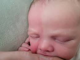 Image result for Harlequin Color Change