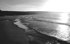 Home > black and white wallpapers > page 1. Photography Black White Beach Ocean Hd Wallpaper Wallpaperbetter