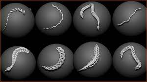 Pin On Zbrush