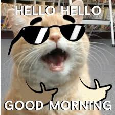 121 Top Funny Good Morning Memes To Make You Laugh