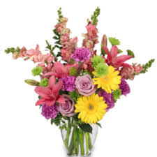 If you cannot find what you are looking for among our options below, just ask and our floral designers can create whatever you're. Manchester Flower Studio 19 Photos Florists 388 Wilson St Manchester Nh Phone Number Yelp