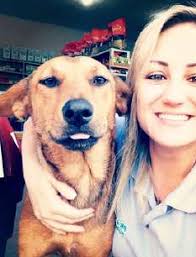 RETROSPECTIVA SINDIVET-PR 2024