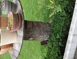 Im eigenen garten dürfen sie grundsätzlich das ganze jahr hindurch bäume fällen, allerdings mit einschränkungen. Stehtisch Aus Baumstamm Baumstumpf Baum Fallen Stehtisch Alter Baum Baumstamm Garten Baumstamm Baumstumpf Tisch