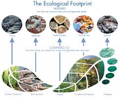 Ecological Footprint Global Footprint Network • distribute the worksheet p. ecological footprint global footprint