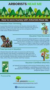 Find tree service near you by using your better business bureau directory. Houston Tree Service Arborists Houston