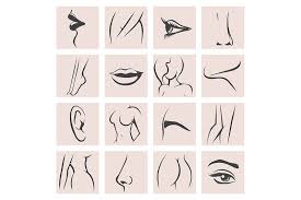 Webgl is required (google chrome recommended). Female Body Parts Set By Olena1983 Thehungryjpeg Com