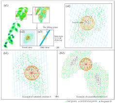 Fritillaria imperialis crown imperial flower in bloom, beautiful tall orange red flowering springtima bulbous plant on big stem with green leaves on the top. Remote Sensing Free Full Text Extraction Of Leaf Biophysical Attributes Based On A Computer Graphic Based Algorithm Using Terrestrial Laser Scanning Data Html