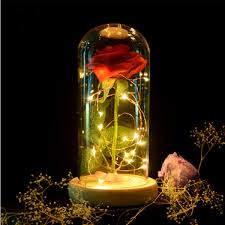 Red Rose Lights Decorations Beauty Enchanted Preserved Red Fresh Rose Glass Cover With Led Light Sale Banggood Com Sold Out Arrival Notice
