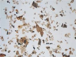 Light grey kitchen paint uk one sweetener album. A Guide To Preparation Protocols In Palynology