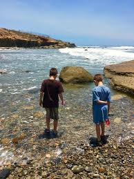 Visiting Cabrillo National Monument Tide Pools And More