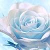 Check spelling or type a new query. Https Encrypted Tbn0 Gstatic Com Images Q Tbn And9gcraazql892ncrr9ir7jc5d6qgh7m15z5ppllmomxmi Usqp Cau