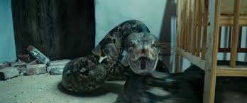 Conteúdo OFB: Nagini - Ordem da Fênix Brasileira | Notícias, conteúdo e  bastidores de Harry Potter | [Ano 17]
