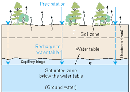 Infiltration Water Cycle Groundwater Science Notes