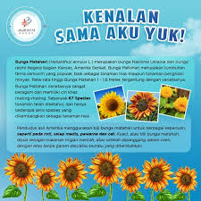 Untuk lebih jelasnya silahkan simak penjelasan berikut. Mall Btm Posts Facebook