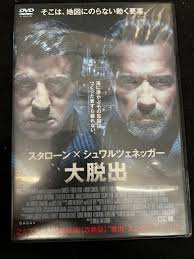 DVDセット/ 洋画映画】13個 海外映画 アクション映画