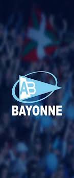 tɔp katɔʀz) is a professional rugby union club competition that is played in france. Hd Aviron Bayonnais Wallpapers Peakpx