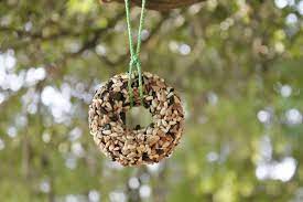 Tiffanie Turner Corner Blog Bird Seed Rings Bird Seed Donuts Bird Seed Bird Seeds