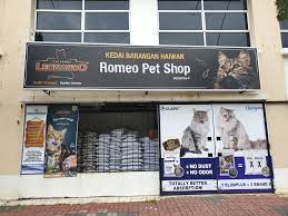 Drivenoon is dedicated to helping small business gain more exposure through adverting and marketing solutions. Romeo Petshop Pet Service Shah Alam Malaysia Facebook 8 126 Photos