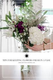 We did not find results for: How To Keep Flowers Fresh In A Vase 7 Proven Tips Tricks