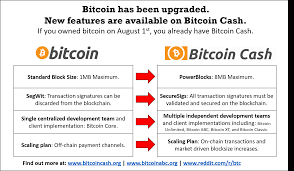 In this video, i explain what the basics of bitcoins then what does it mean by investing in bitcoin. Bitcoin Cash Infographic A Simple Explanation Of The Changes Made By The Hard Fork Btc