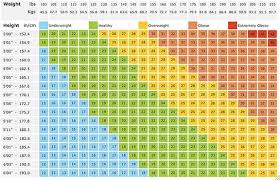 Obesity And Infertility