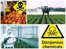 Pesticid Gyldendal - Den Store Danske