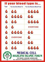 Blood Type Guide Medical Assistant Medical Facts Nursing